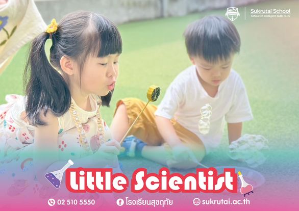 October Camp “little Scientist”
